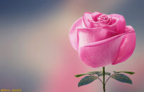 安防电源选购要点